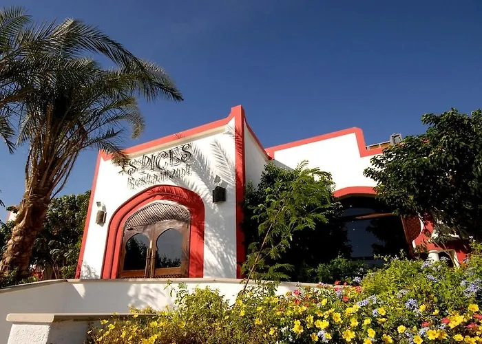 Domina Harem & 5* Sharm el Sheikh