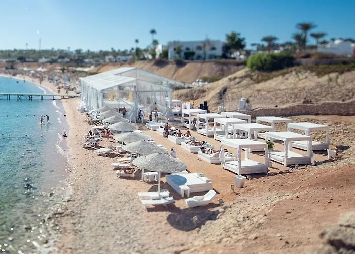 Domina Harem & Sharm el Sheikh
