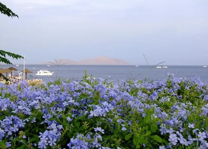Domina Harem & Resort Sharm el Sheikh